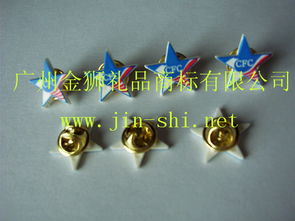 pvc軟膠胸章,塑膠胸章,pvc胸章,pvc徽章,軟膠胸章規格型號及價格 鑰匙扣 手機座 冰箱貼 相框