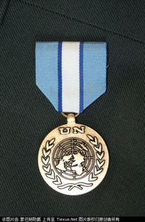 國(guó)際維和胸章上面是什么圖案