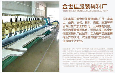 【金世佳廠家直銷滌綸絲手工釘珠珠管條碼花邊女裝時尚婚紗花邊輔料1088-1】深圳市福田區金世佳服裝輔料廠 - 產品庫