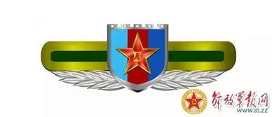 全軍最新臂章和胸章