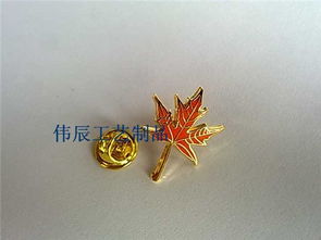 重慶哪里有做胸章,重慶訂做胸章,重慶做胸章