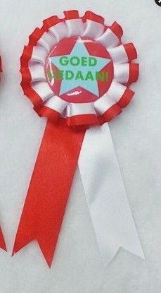 胸章胸花圖片,胸章胸花高清圖片 溫州迦南工藝品廠,