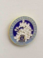 紀念幣/徽章 江西師范大學紀念胸章制作,山西師范大學周年紀念胸章,專業制作學校胸針設計批發訂購圖片_高清圖_細節圖-深圳市和康工藝制品銷售部