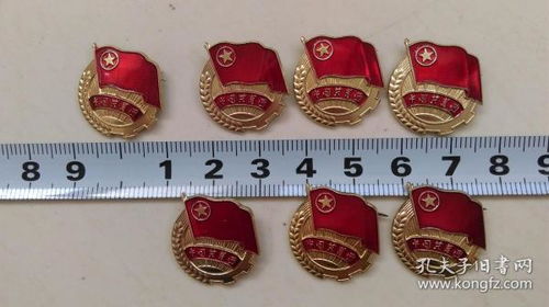 胸章 中國共青團胸章