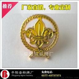 異形鍍金胸章定制 高檔徽章設計與平陽縣標牌廠的專業服務