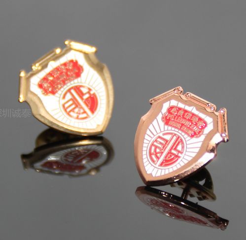 浙江技術(shù)學(xué)?；照轮谱髋c定制廠家指南 打造獨(dú)特校園標(biāo)識(shí)